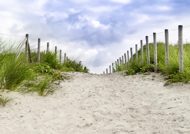 Düne am Meer 