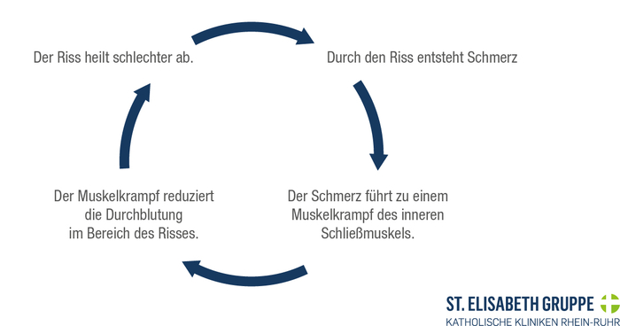 Darstellung des Teufelskreises einer Analfissur, die nicht heilt.