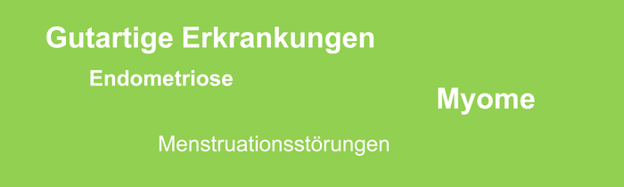 Typo mit weißer Schrift auf verblasstem grünen Grund, die eine Auflistung gutartiger gynäkologischer Erkrankungen zeigt.