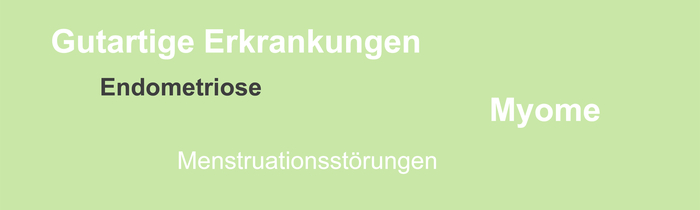 Typo mit weißer Schrift auf verblasstem grünen Grund, die eine Auflistung gutartiger gynäkologischer Erkrankungen zeigt. Das Wort Endometriose ist hervorgehoben.