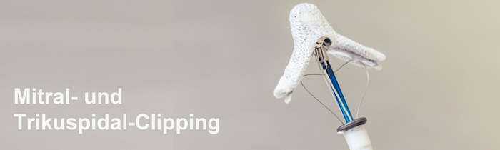 Mitral-Clipping Header